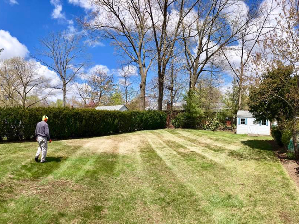 2019 spring FB lawn dethatch2